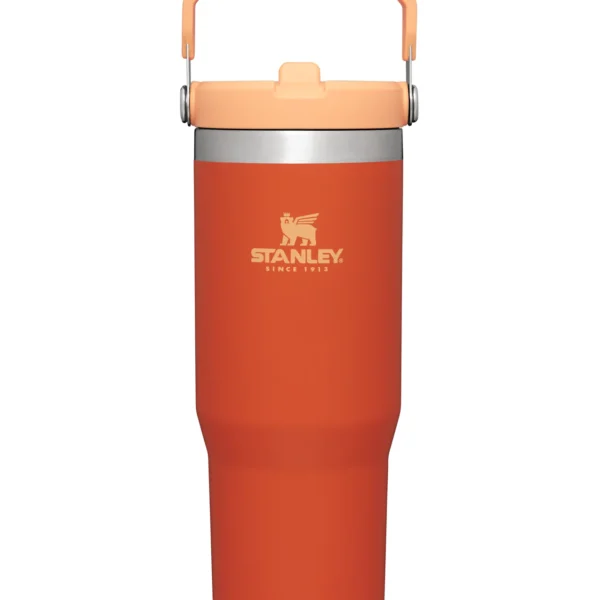 Tigerlily Stanley 30 Oz. IceFlow Flip Straw Stainless Steel Vacuum Insulated Tumbler