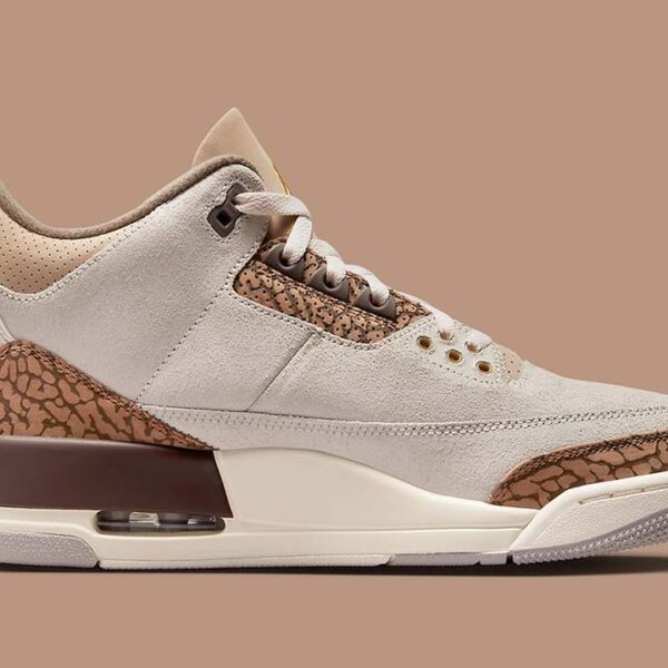 Jordan 3 Palomino - Image 6