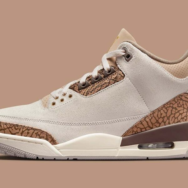 Jordan 3 Palomino - Image 5