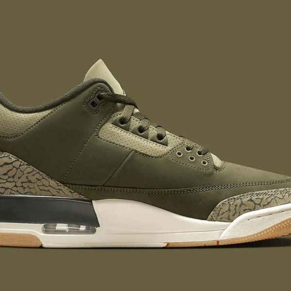 Jordan 3 Retro Family Affair - Image 6