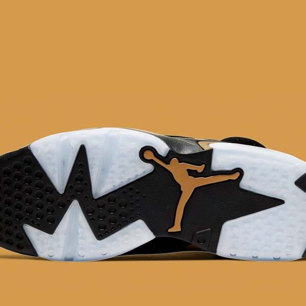 Jordan 6 Retro DMP 2020 - Image 5